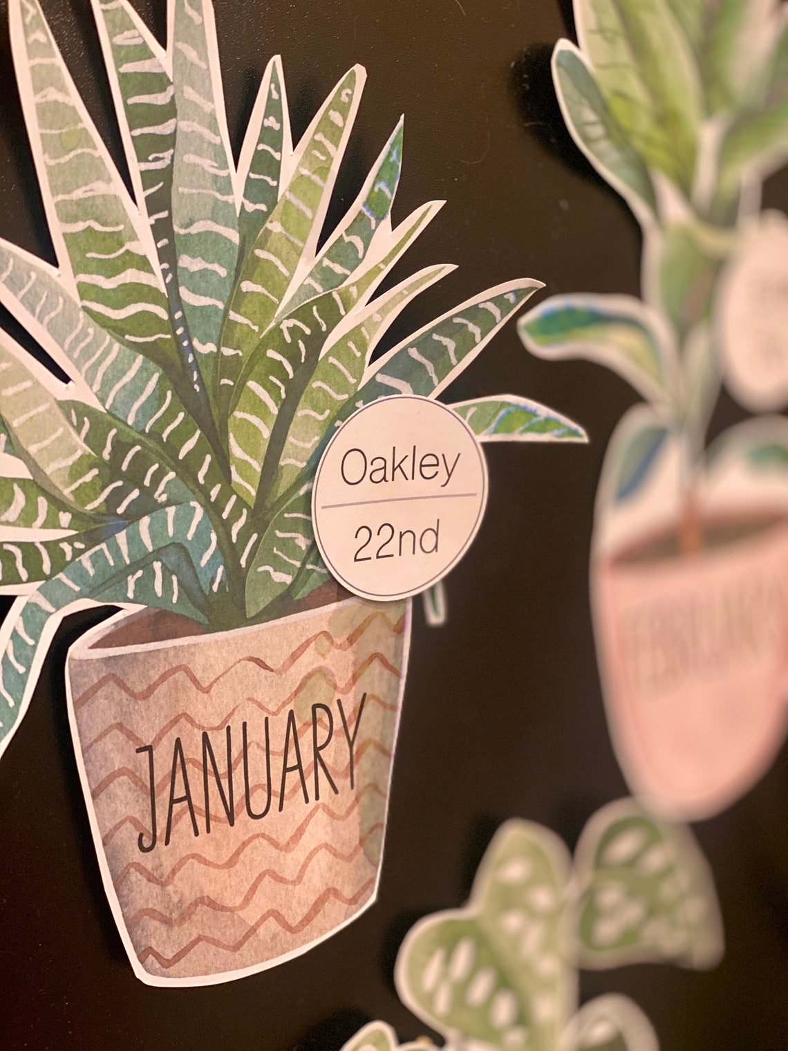 BOHO BOTANY Birthday Display, Birthday Chart, Plants Themed Classroom ...
