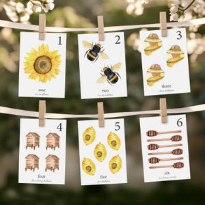 Flashcard con i numeri delle api, Api, Natura, Flashcard, Fai da te digitale, Carte di conteggio, Numeri delle api, Carte Montessori, Risorse per l'istruzione parentale