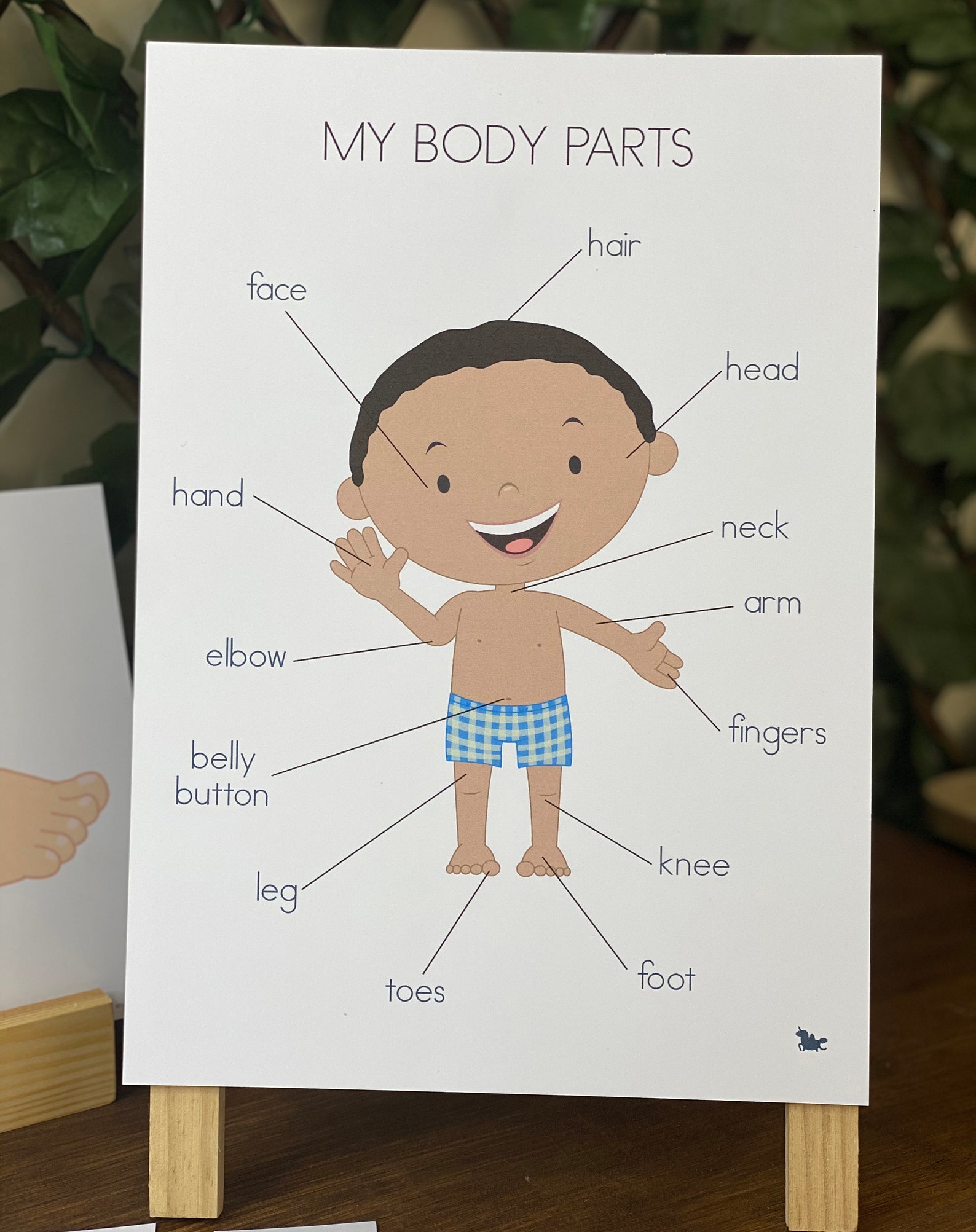 My Body Parts Posters My Body Preschool Activities | Etsy