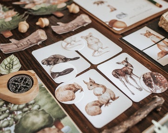 May include: A set of educational cards featuring watercolor illustrations of woodland animals, including a beaver, deer, squirrel, and mouse. Each card has a matching circle with the animal's footprint. The cards are on a wooden surface with other educational materials.