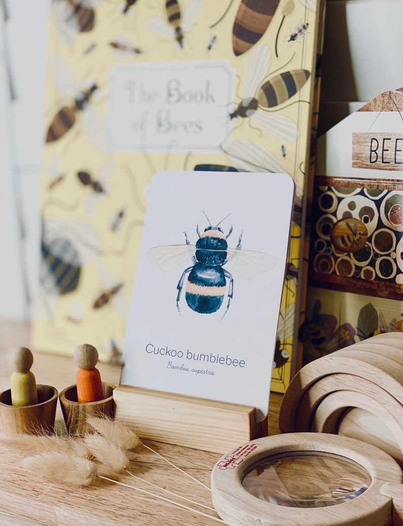May include: A collection of bee-themed educational toys and books. A card with a watercolor illustration of a cuckoo bumblebee is displayed in a wooden stand. The book cover reads "The Book of Bees" with bee illustrations. Wooden magnifying glass and stacking rings are also visible.