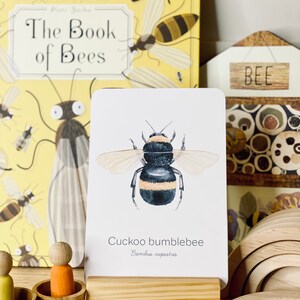 May include: A card featuring a watercolor illustration of a cuckoo bumblebee, with the scientific name Bambus rupestris. The card is displayed on a wooden stand, alongside a book titled "The Book of Bees" and wooden toys.