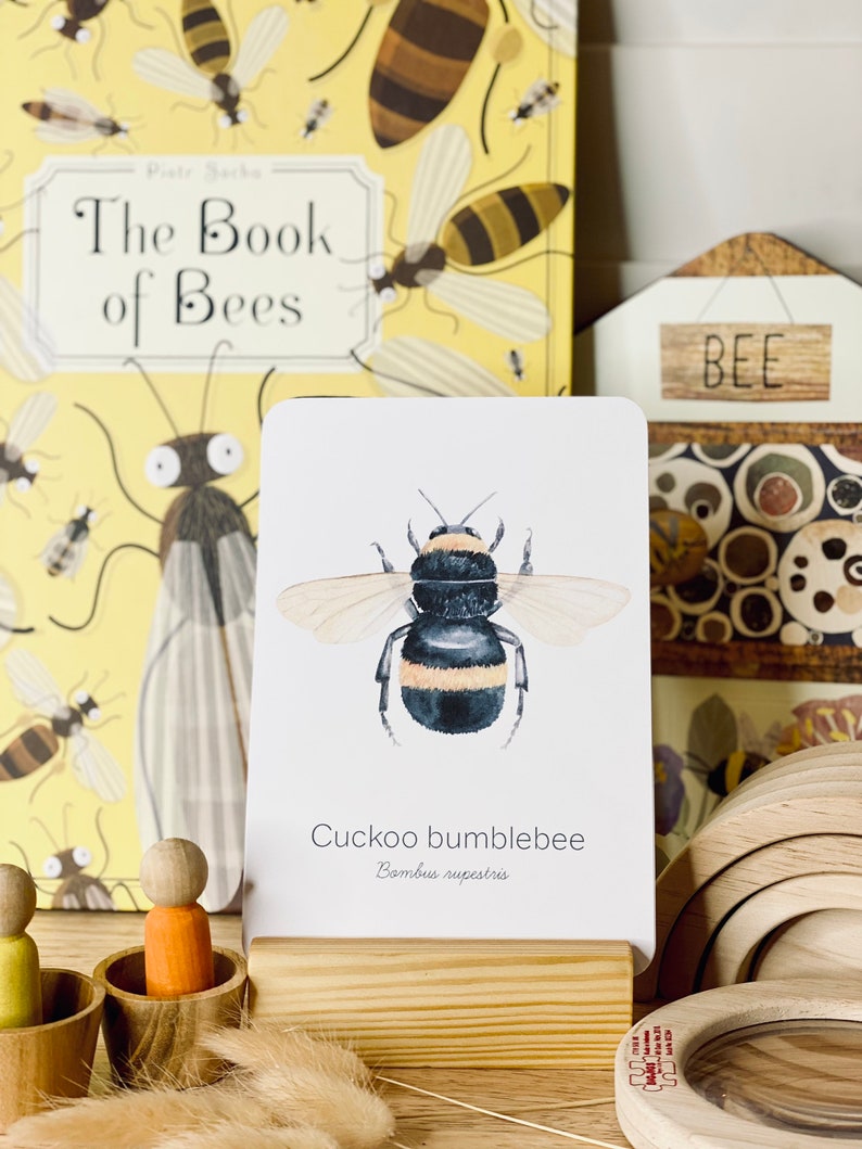 May include: A card featuring a watercolor illustration of a cuckoo bumblebee, with the scientific name Bambus rupestris. The card is displayed on a wooden stand, alongside a book titled "The Book of Bees" and wooden toys.