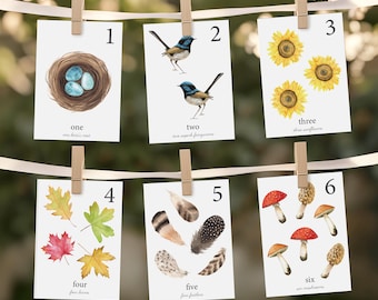 Nature Number Flashcards, Counting Numbers 1-10 Flashcards , Nature, Counting Flashcards,  Insects, Montessori Cards, Homeschool Printables
