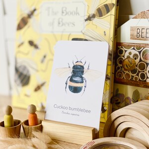 May include: A collection of bee-themed educational toys and books. The image features a card with a watercolor illustration of a Cuckoo bumblebee, a book titled "The Book of Bees", wooden toys, and a magnifying glass.