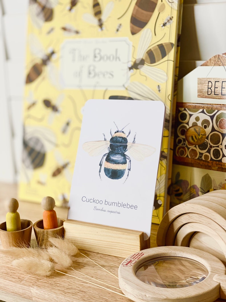 May include: A collection of bee-themed educational toys and books. The image features a card with a watercolor illustration of a Cuckoo bumblebee, a book titled "The Book of Bees", wooden toys, and a magnifying glass.