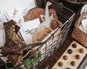 Paleontology Morning Basket Activities, Homeschool Resources, Morning Baskets, Dinosaurs, Fossils, Paeleontology Study Unit