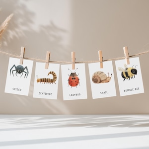 Bug-flashkaarten voor kinderen, educatieve kaarten voor kleuters, afdrukbare bug-flashkaarten voor kinderen, montessori-flashkaarten voor thuisonderwijs