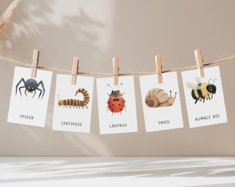 Bug Flashcards for Kids, Preschool Educational Cards,  Printable Bugs Flashcards for Kids, Montessori Flashcards For Homeschool