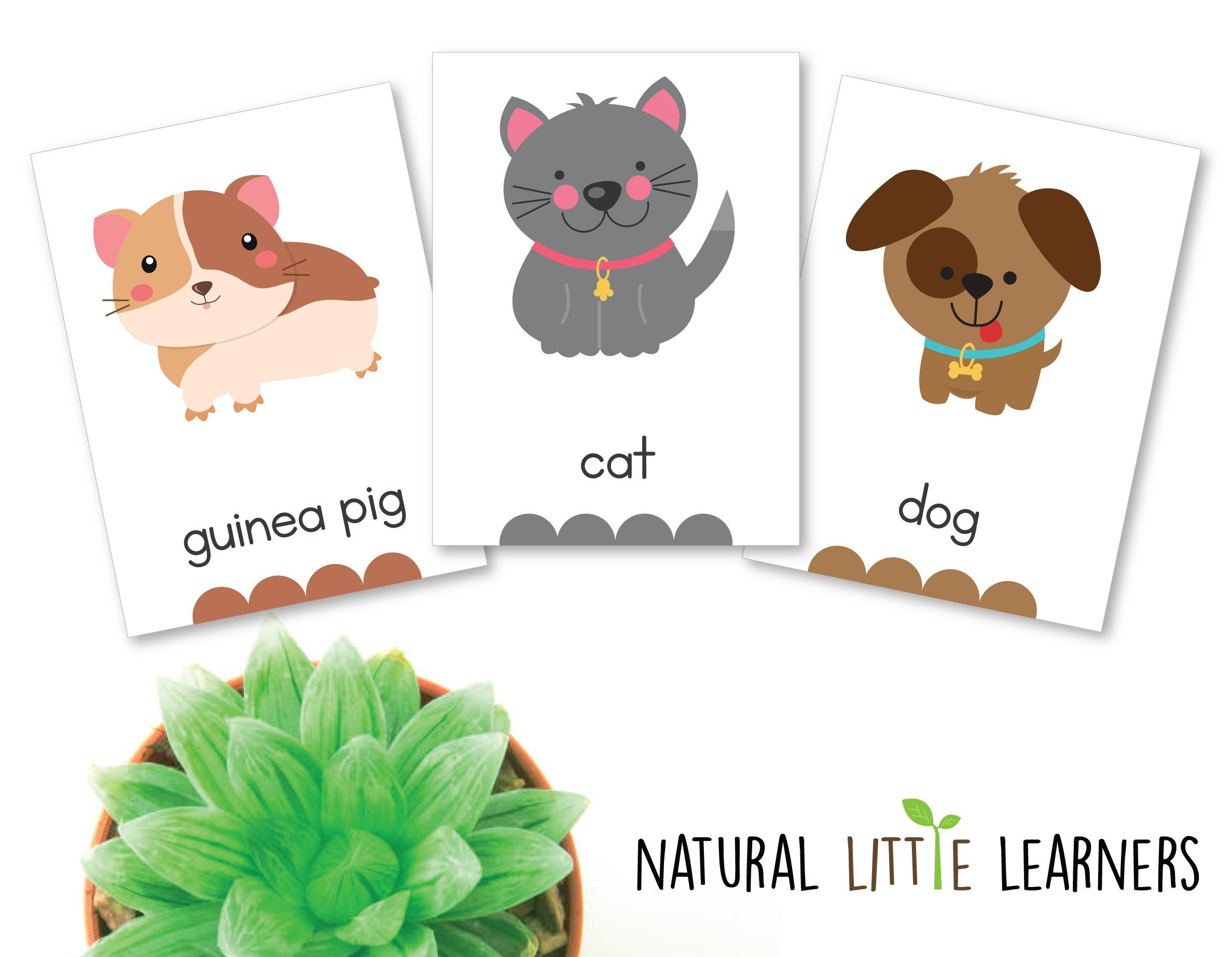 My Pets Flash Cards Pet Animals Cute Pets Flash Cards Etsy
