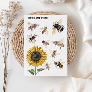 May include: A white card with the text "CAN YOU NAME THE BEE?" features watercolor illustrations of various bees and a sunflower. The bees are depicted in shades of yellow, black, and brown. The sunflower is yellow with a dark center.