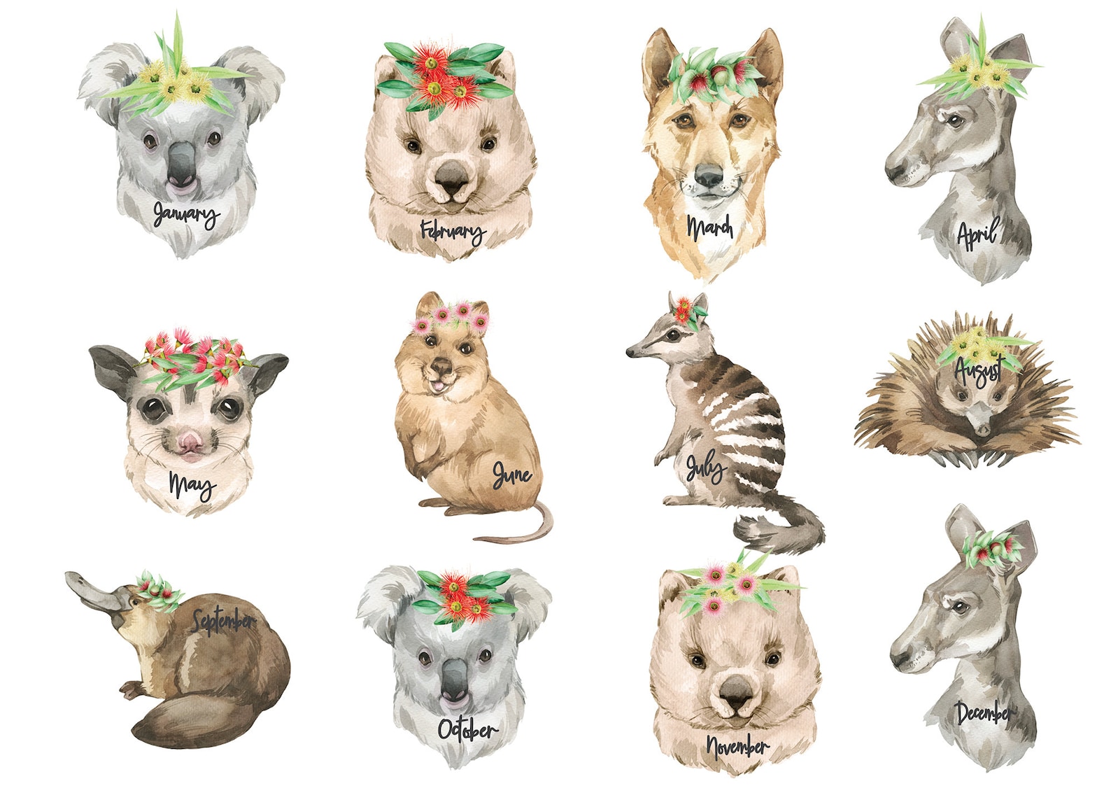 australian-animal-birthday-display-birthday-chart-etsy-australia