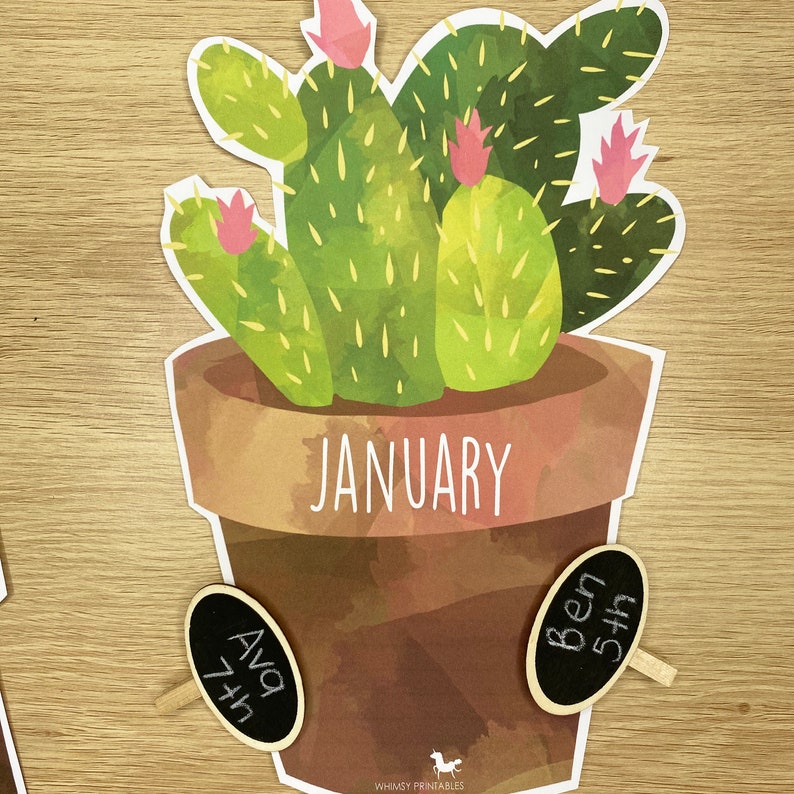 Cactus Birthday Display Birthday Chart Cactus Preschool Etsy Cactus Birthday Display Birthday Chart Cactus Preschool Etsy