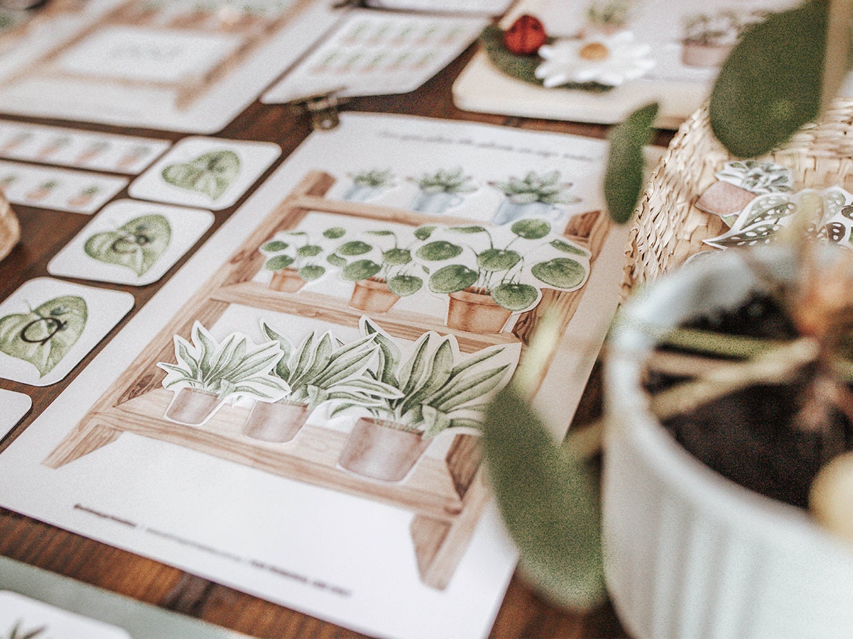 Botany Printable Morning Basket Activities Botanical Plants Homeschool ...