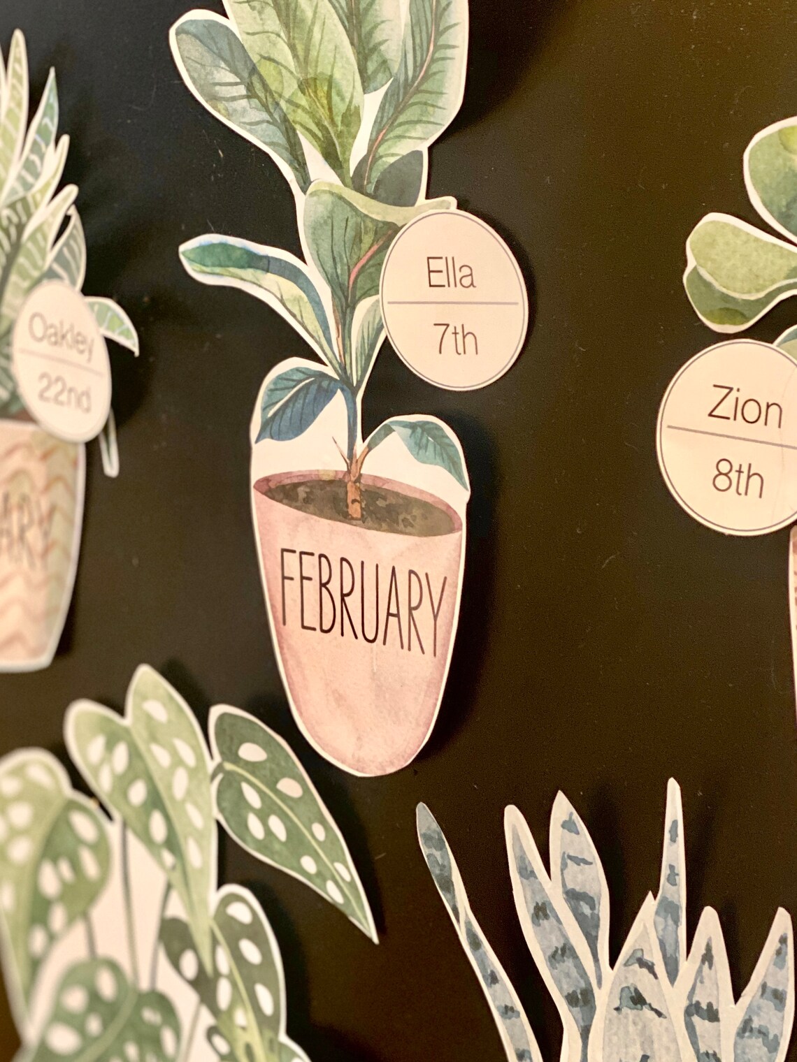 BOHO BOTANY Birthday Display, Birthday Chart, Plants Themed Classroom ...