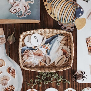 Ocean Animals Printable Morning Basket Sea Activities Homeschool Activities Preschool Montessori Ocean Unit Study