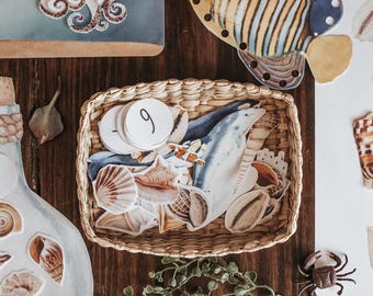 Ocean Animals Printable Morning Basket Sea Activities Homeschool Activities Preschool Montessori Ocean Unit Study