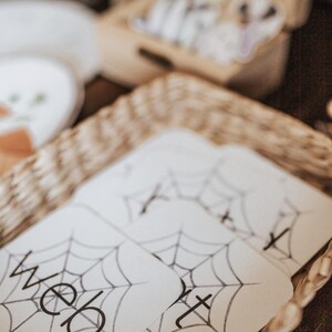 May include: A stack of cream-colored cards with a black spiderweb design and the word "web" printed on them. The cards are in a woven basket, with other items in the background.
