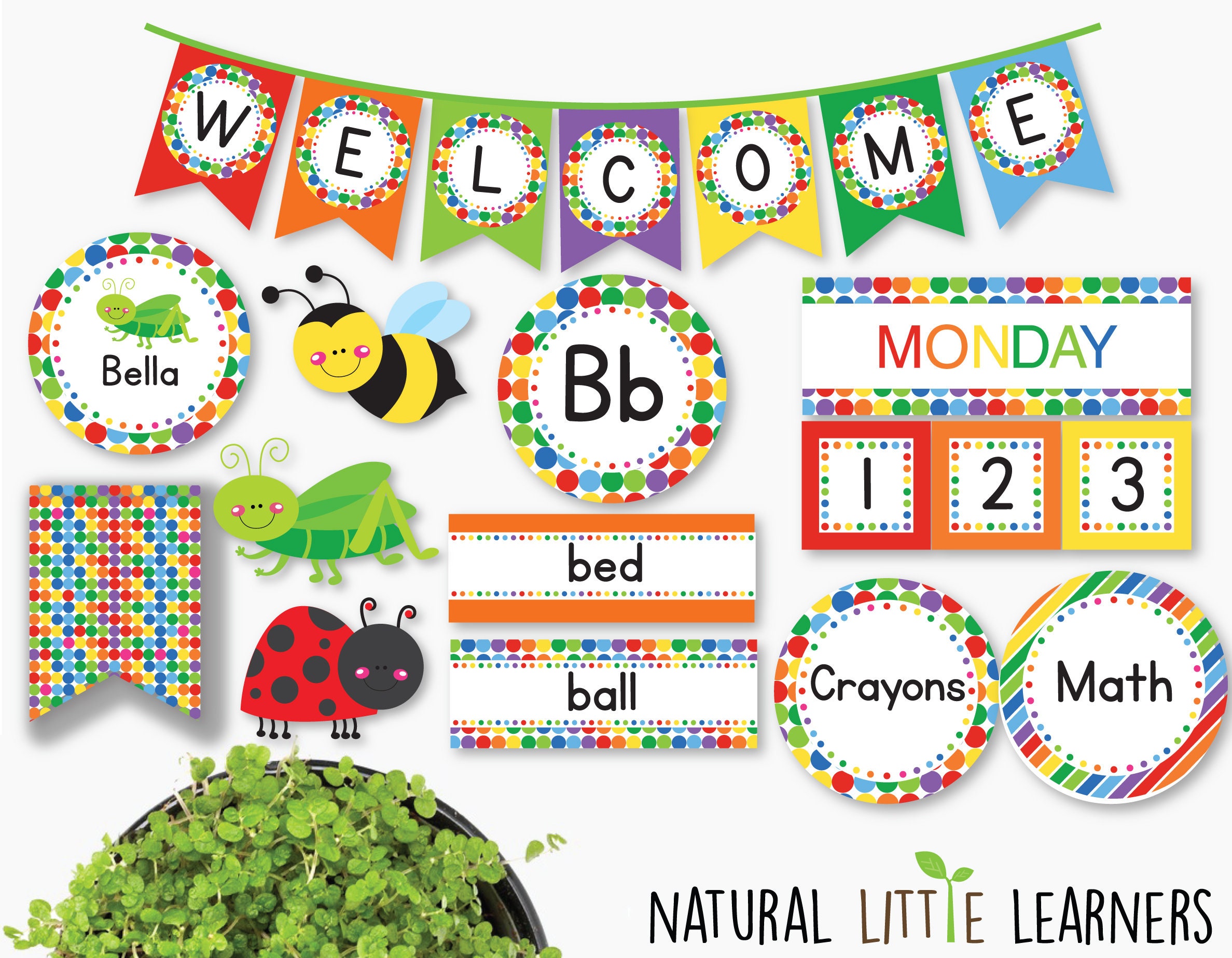 Bugs Complete Decor Pack Classroom Decor Bugs Theme Etsy