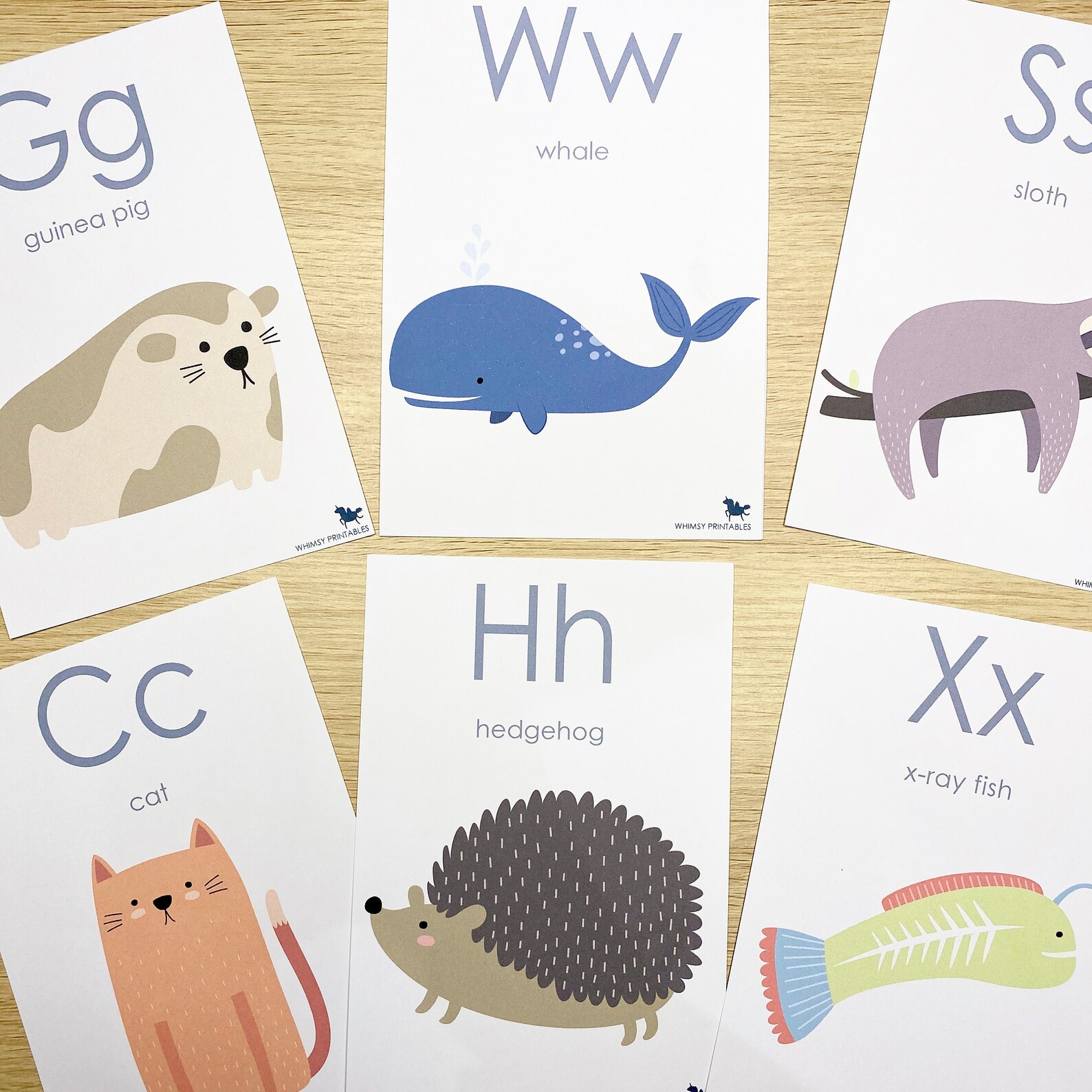 Animal Alphabet Flash Cards Baby ABC's Kids Etsy