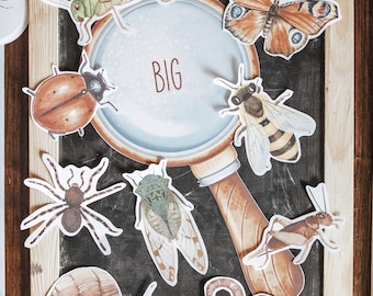 MiniBeast Morning Basket  Homeschool Printable Morning Menu Activities Bug Activities Insects Study Unit Printable Insects Activities