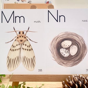 Carteles del alfabeto de la naturaleza / Preescolar / Tablón de anuncios escolar / Alfabeto / Carteles de la naturaleza