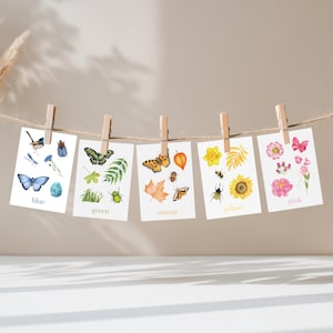 Farbe Natur Karteikarten, Natur inspiriert, druckbare Farbe Karteikarten für Kinder, Montessori Karteikarten, druckbare Lernkarten