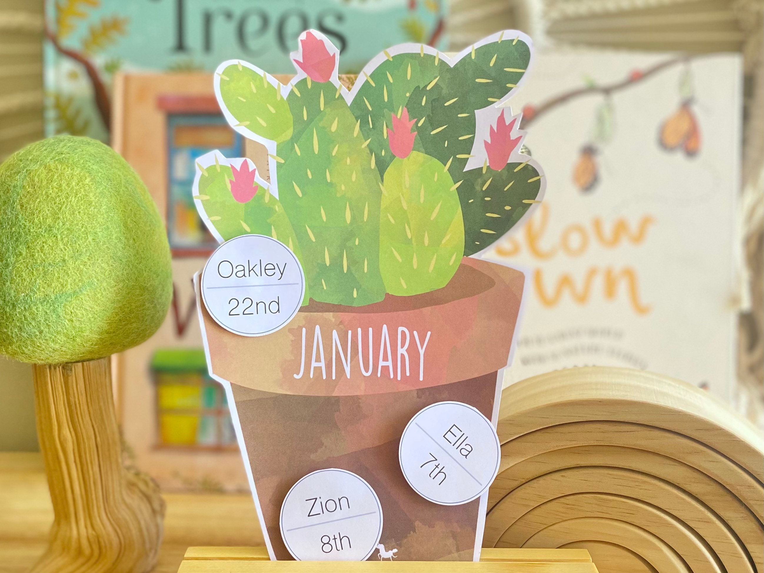 Cactus Birthday Display Birthday Chart Cactus Preschool Etsy cactus-birthday-display-birthday-chart-cactus-preschool-etsy