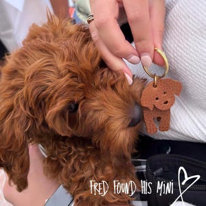 May include: A brown leather dog-shaped keychain with a gold-colored ring is held near a fluffy, reddish-brown puppy. The keychain has a simple design with cut-out features. The text "FRED FOUND HIS MINI" is visible in the lower right corner.