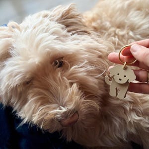 May include: A light brown dog with long, shaggy fur is the focus of this image. A small, beige dog-shaped keychain with a gold ring is held near the dog. The keychain has a simple, cartoon-like design.