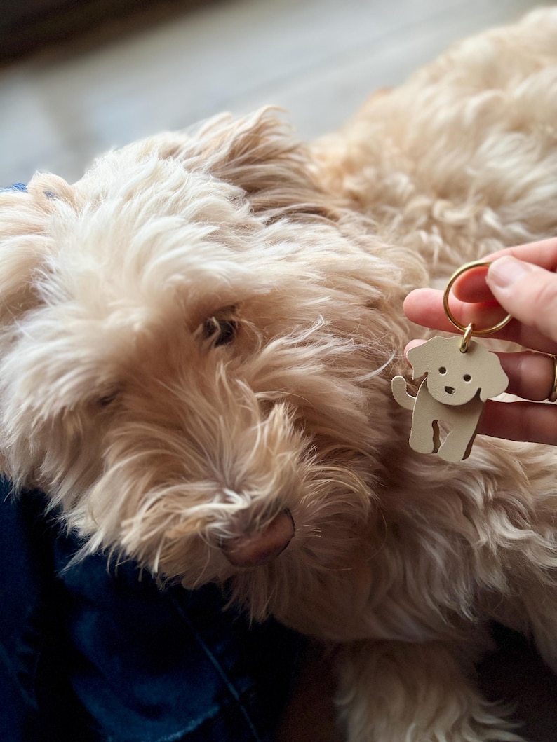 May include: A light brown dog with long, shaggy fur is the focus of this image. A small, beige dog-shaped keychain with a gold ring is held near the dog. The keychain has a simple, cartoon-like design.