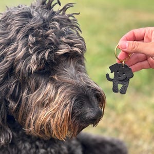 May include: A black leather dog-shaped keychain with a gold-colored ring is held up near a fluffy, dark-haired dog. The keychain is a silhouette of a dog with a smiling face. The dog in the image has a black nose and brown and black fur.