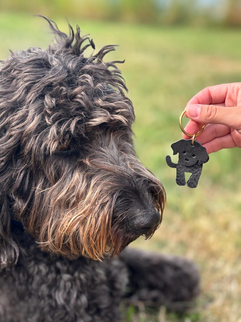May include: A black leather dog-shaped keychain with a gold-colored ring is held up near a fluffy, dark-haired dog. The keychain is a silhouette of a dog with a smiling face. The dog in the image has a black nose and brown and black fur.