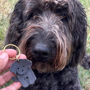 May include: A close-up of a black dog with brown and gray fur. A small, gray leather dog-shaped keychain with a gold ring is held in front of the dog. The dog is sitting on green grass.