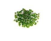 Flush mount lighting, ceiling mount light fixture with Green jumping flowers , elegant sconces for ceiling or wall