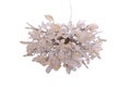 Hanging Chandeliers with transparent gold and clear leaves and flowers for Dining Room product logo