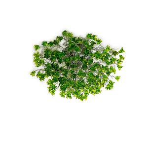 Flush mount lighting, ceiling mount light fixture with Green jumping flowers , elegant sconces for ceiling or wall