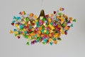 Rainbow Flower Chandelier: Handmade Resin Floral Ceiling Light product logo