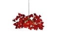 Ceiling lighting, kitchen island light with Red color jumping flowers product logo