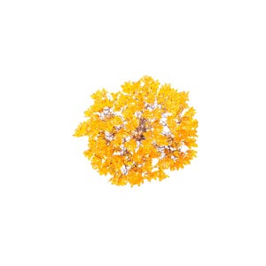 Hanging pendants light with yellow flowers for bedroom, bathroom, toilette or kitchen island .