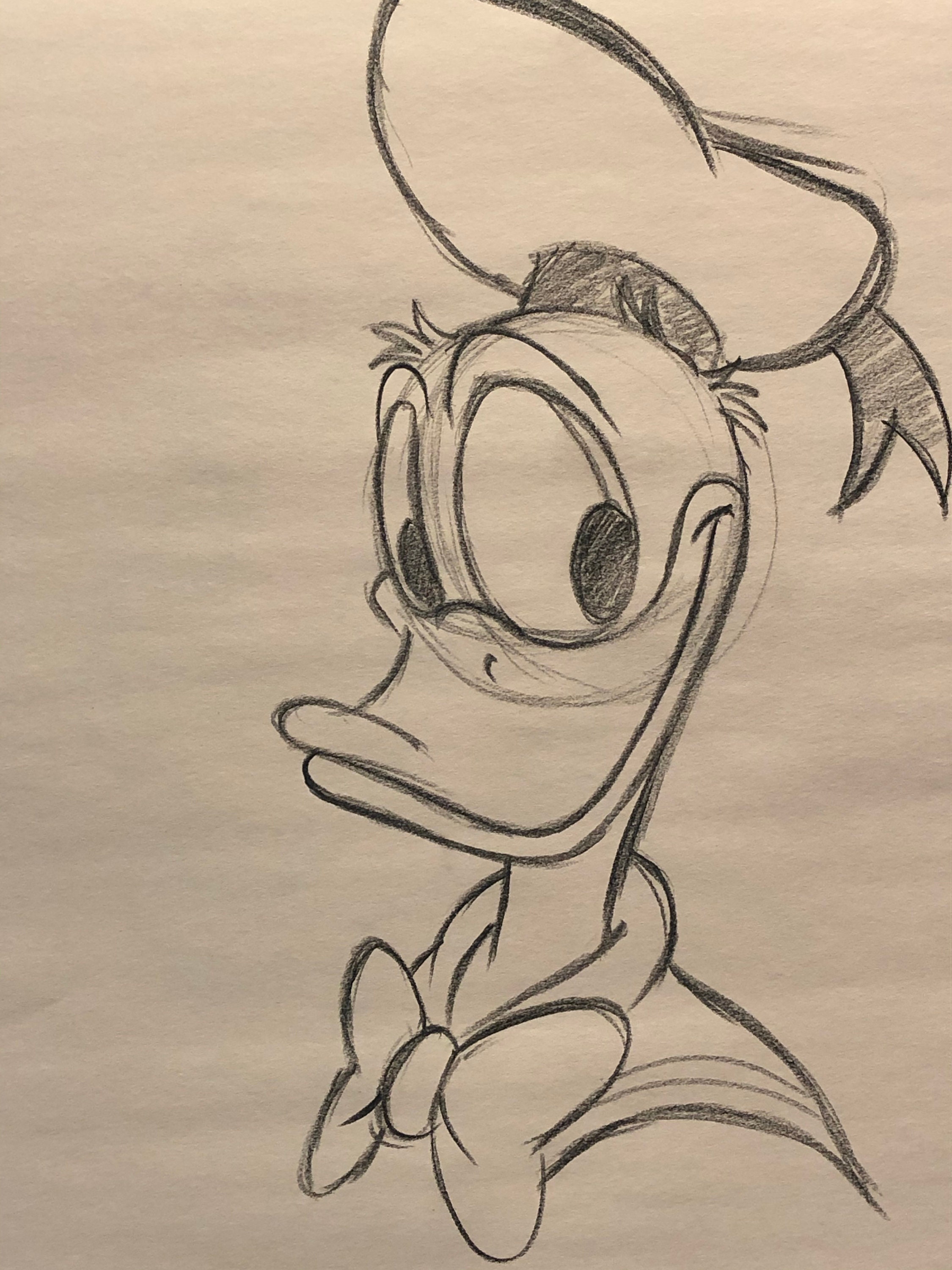 Original Donald Duck Drawing