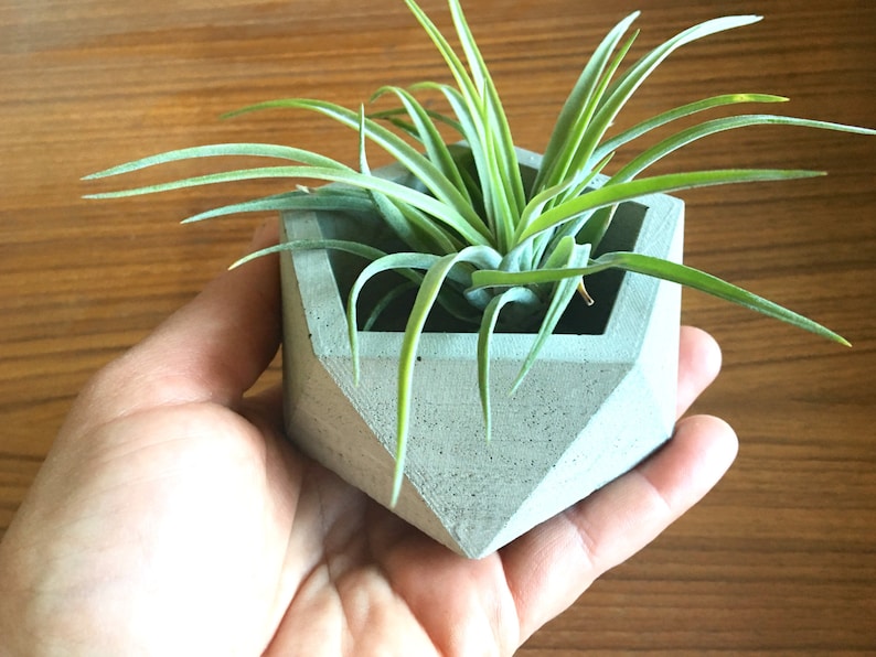 Sacred Geometry Icosahedron II Planter Handmade Wedding Decor Medium Concrete Geometric Planter