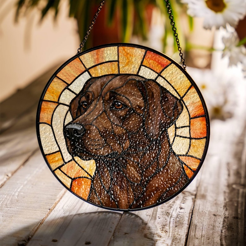 May include: Round stained glass window featuring a brown Labrador Retriever dog. The dog's portrait is framed by a segmented design in shades of orange, yellow, and cream. A black chain is attached for hanging.