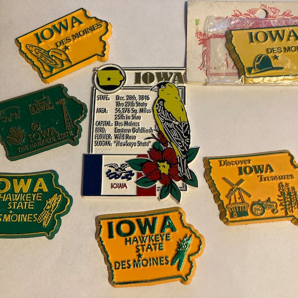 Choice of One Vintage Modern Refrigerator Magnet State Souvenir Rubber Plastic USA Travel Iowa IA Hawkeye State Des Moines