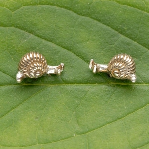 May include: A pair of silver snail earrings, each with a detailed shell and tiny legs. The earrings are shown on a green leaf.