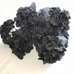 May include: A bouquet of black silk hydrangea flowers. The flowers are arranged in a cluster and have a realistic appearance.