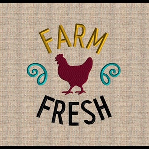 Farm Fresh Embroidery Design Machine Embroidery Design Fill stitch Chicken Design Farmhouse Embroidery Design  5 sizes