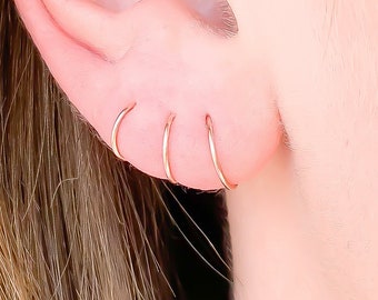 Rose\u2122 Rose Gold Regal Beauty Hoop Earrings