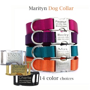 Personalized Dog Collar: Laser Engraved ID Tag, Metal Buckle