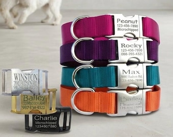 Personalized Dog Collar: Laser Engraved ID Tag, Metal Buckle